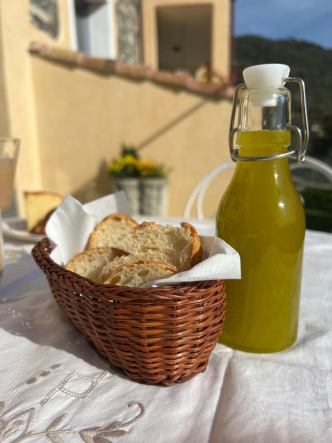 Agriturismo Le Merline Arnasco Extérieur photo