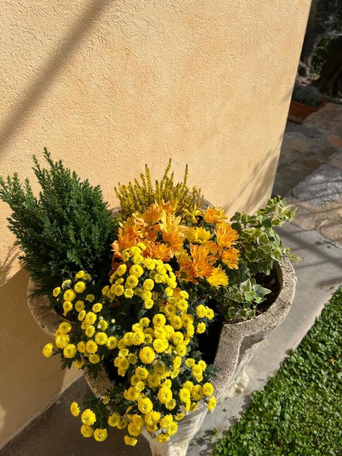 Agriturismo Le Merline Arnasco Extérieur photo